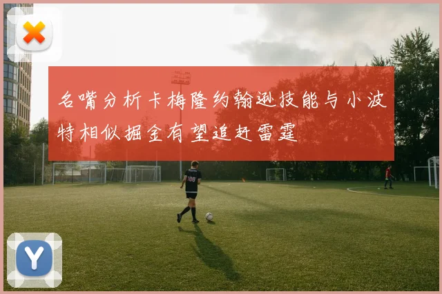 名嘴分析卡梅隆约翰逊技能与小波特相似掘金有望追赶雷霆