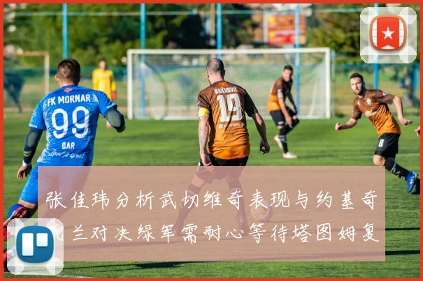 张佳玮分析武切维奇表现与约基奇瓦兰对决绿军需耐心等待塔图姆复出