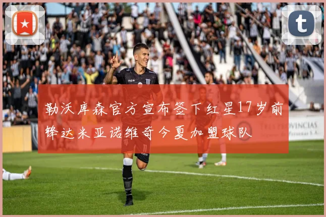 勒沃库森官方宣布签下红星17岁前锋达米亚诺维奇今夏加盟球队